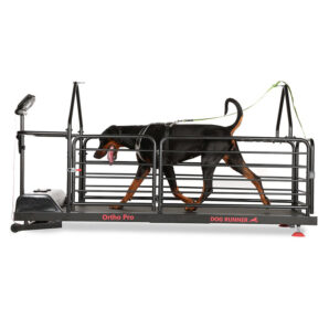 Treadmill for dogs – Dog Runner – Ortho Pro