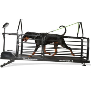 Treadmill for dogs – Dog Runner – Revolution Pro
